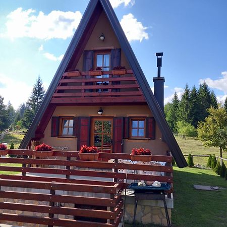Mountain House Tadic 1 Villa Bajina Basta Exteriör bild
