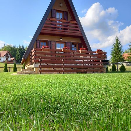 Mountain House Tadic 1 Villa Bajina Basta Exteriör bild