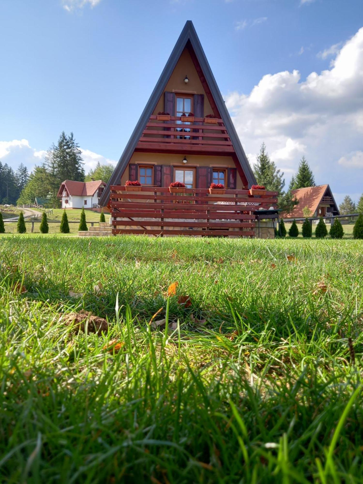 Mountain House Tadic 1 Villa Bajina Basta Exteriör bild