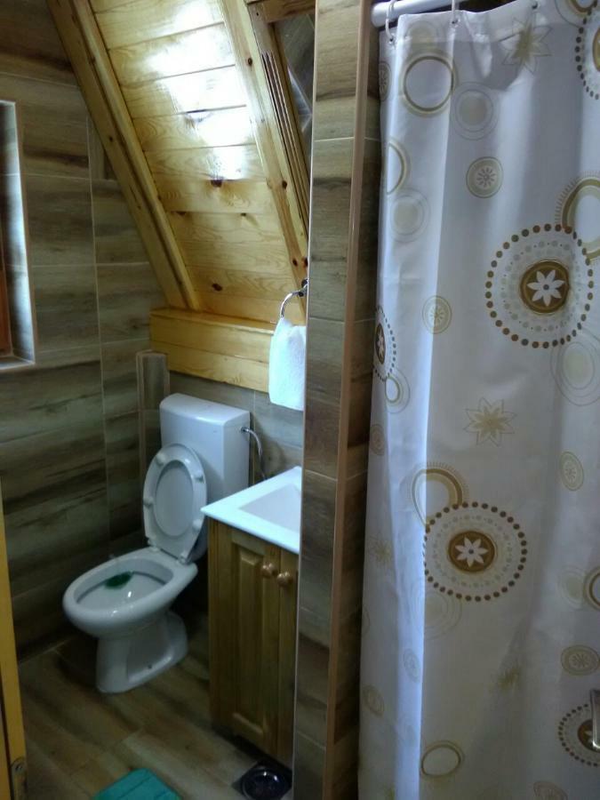 Mountain House Tadic 1 Villa Bajina Basta Exteriör bild